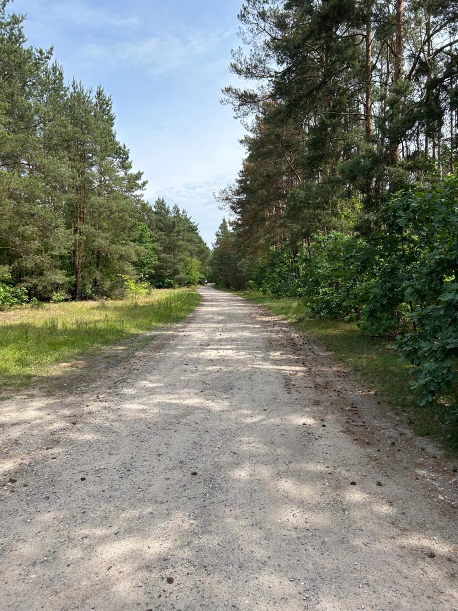 Apartmán Dworska Józefów Exteriér fotografie